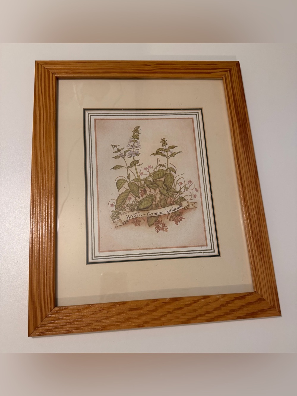 Vintage Botanical Basil Print Framed Kitchen Wall Art - Farmhouse Herb Decor
